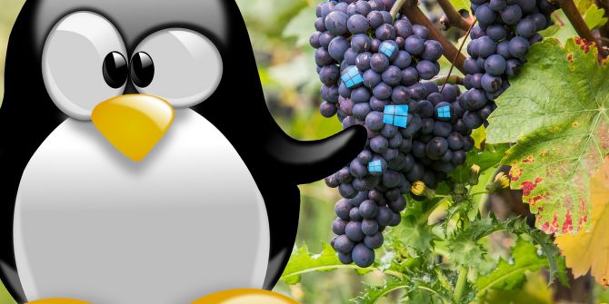 Cos’è Vineyard per Linux